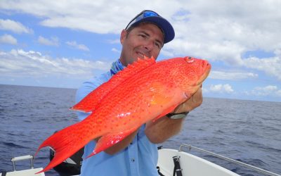 Réunion pêche, guide de pêche avec un rouge ananas Rouge ananas, pêche à la réunion